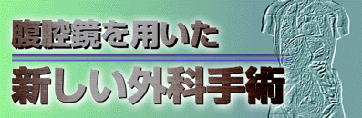 ���o����p�����V�����O�Ȏ�p